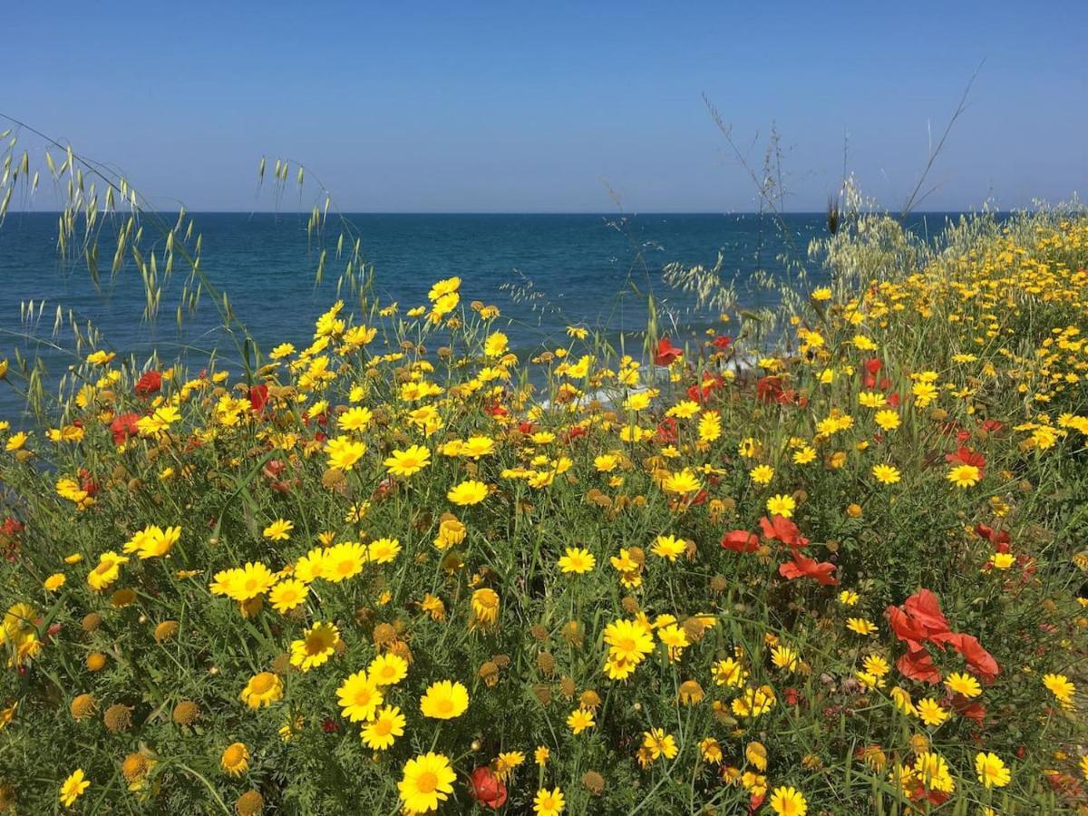 Villa Matinella Trani Dış mekan fotoğraf