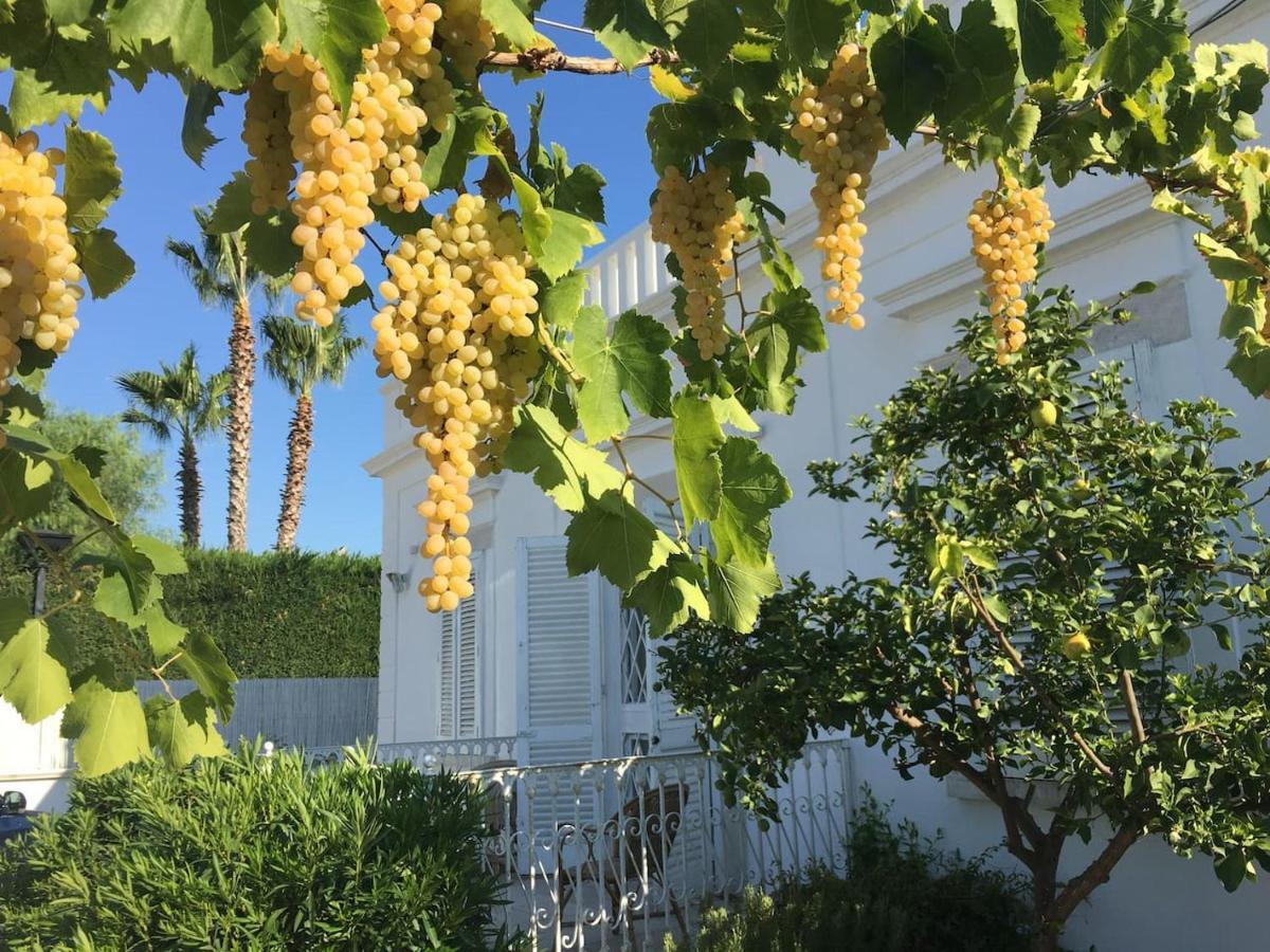 Villa Matinella Trani Dış mekan fotoğraf